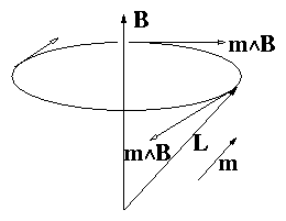 figure/precession.gif